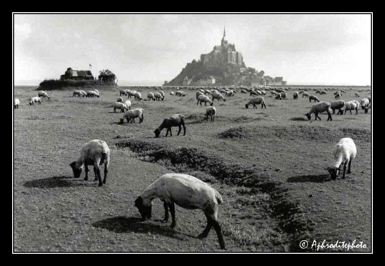 Mont St-Michel
